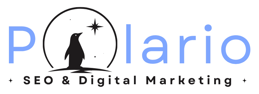 Polario SEO & Digital Marketing, Fairfax, VA 22030