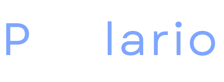 Polario SEO & Digital Marketing, Fairfax, VA 22030